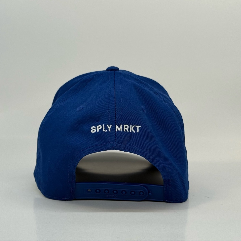 Los Angeles Bonsai Blue Snapback - Picture 5 of 7